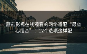 蘑菇影视在线观看的网络适配“最省心组合”：12个选项这样配