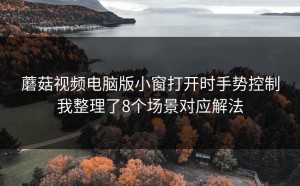 蘑菇视频电脑版小窗打开时手势控制我整理了8个场景对应解法