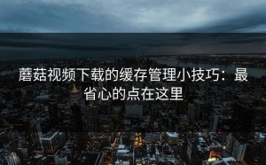 蘑菇视频下载的缓存管理小技巧：最省心的点在这里