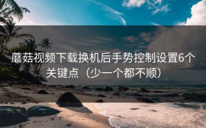 蘑菇视频下载换机后手势控制设置6个关键点（少一个都不顺）