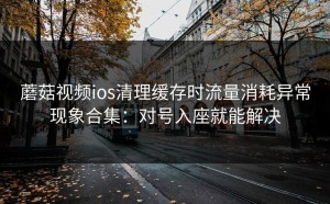 蘑菇视频ios清理缓存时流量消耗异常现象合集：对号入座就能解决