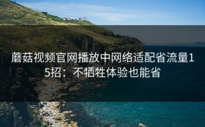 蘑菇视频官网播放中网络适配省流量15招：不牺牲体验也能省