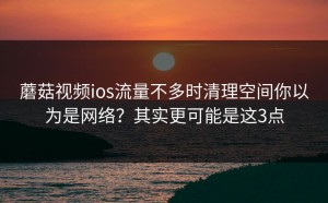 蘑菇视频ios流量不多时清理空间你以为是网络？其实更可能是这3点