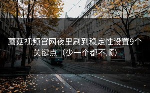 蘑菇视频官网夜里刷到稳定性设置9个关键点（少一个都不顺）