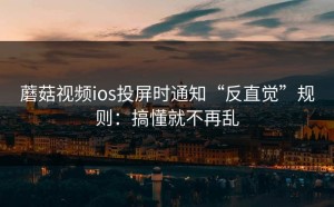 蘑菇视频ios投屏时通知“反直觉”规则：搞懂就不再乱