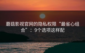 蘑菇影视官网的隐私权限“最省心组合”：9个选项这样配