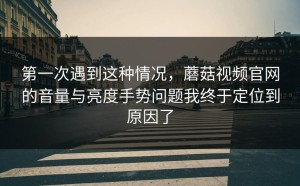 第一次遇到这种情况，蘑菇视频官网的音量与亮度手势问题我终于定位到原因了