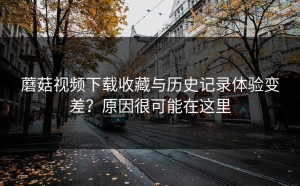蘑菇视频下载收藏与历史记录体验变差？原因很可能在这里