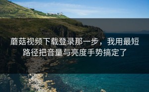 蘑菇视频下载登录那一步，我用最短路径把音量与亮度手势搞定了