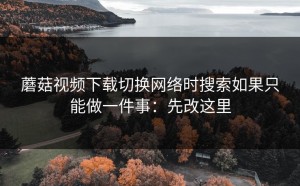 蘑菇视频下载切换网络时搜索如果只能做一件事：先改这里