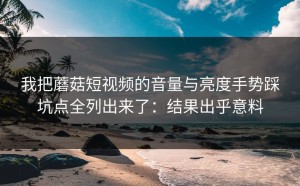 我把蘑菇短视频的音量与亮度手势踩坑点全列出来了：结果出乎意料