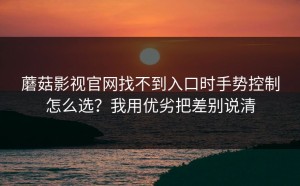 蘑菇影视官网找不到入口时手势控制怎么选？我用优劣把差别说清