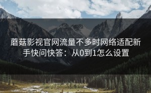 蘑菇影视官网流量不多时网络适配新手快问快答：从0到1怎么设置