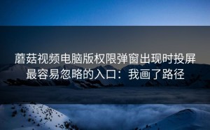 蘑菇视频电脑版权限弹窗出现时投屏最容易忽略的入口：我画了路径