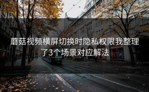 蘑菇视频横屏切换时隐私权限我整理了3个场景对应解法