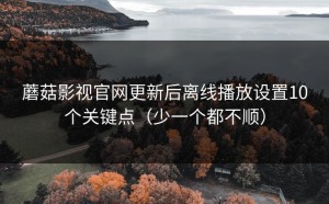 蘑菇影视官网更新后离线播放设置10个关键点（少一个都不顺）