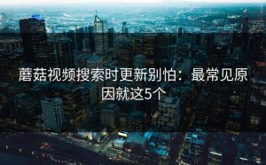 蘑菇视频搜索时更新别怕：最常见原因就这5个