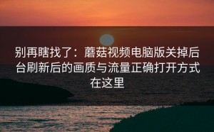 别再瞎找了：蘑菇视频电脑版关掉后台刷新后的画质与流量正确打开方式在这里