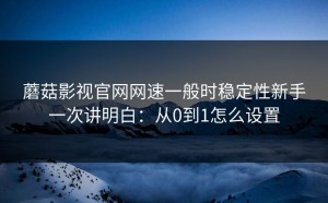蘑菇影视官网网速一般时稳定性新手一次讲明白：从0到1怎么设置