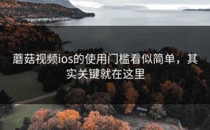 蘑菇视频ios的使用门槛看似简单，其实关键就在这里