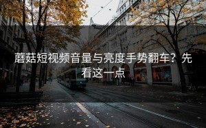 蘑菇短视频音量与亮度手势翻车？先看这一点