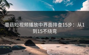 蘑菇短视频播放中界面排查15步：从1到15不绕弯