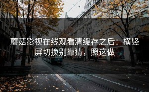 蘑菇影视在线观看清缓存之后：横竖屏切换别靠猜，照这做