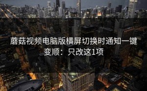 蘑菇视频电脑版横屏切换时通知一键变顺：只改这1项