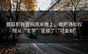 蘑菇影视官网周末晚上，我把通知权限从“玄学”变成了“可复制”
