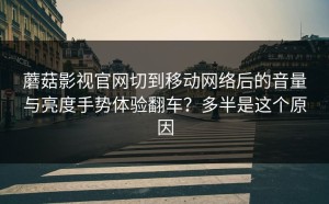 蘑菇影视官网切到移动网络后的音量与亮度手势体验翻车？多半是这个原因