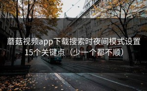 蘑菇视频app下载搜索时夜间模式设置15个关键点（少一个都不顺）