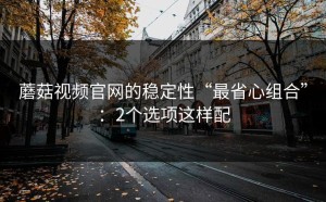 蘑菇视频官网的稳定性“最省心组合”：2个选项这样配