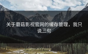 关于蘑菇影视官网的缓存管理，我只说三句