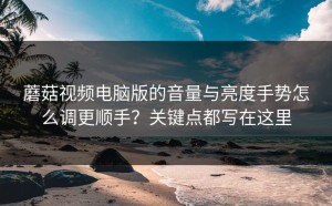 蘑菇视频电脑版的音量与亮度手势怎么调更顺手？关键点都写在这里