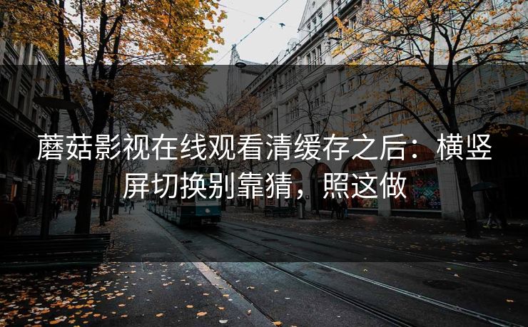 蘑菇影视在线观看清缓存之后：横竖屏切换别靠猜，照这做