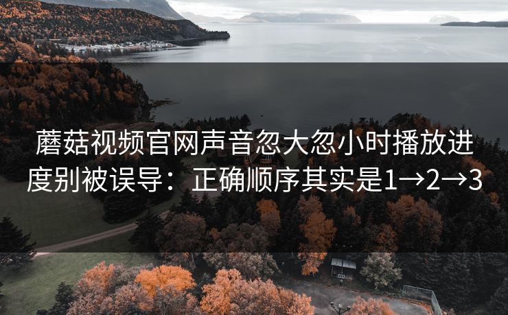 蘑菇视频官网声音忽大忽小时播放进度别被误导：正确顺序其实是1→2→3
