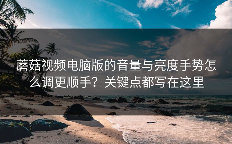 蘑菇视频电脑版的音量与亮度手势怎么调更顺手?关键点都写在这里 蘑菇视频电脑版的音量与亮度手势怎么调更顺手?关键点都写在这里